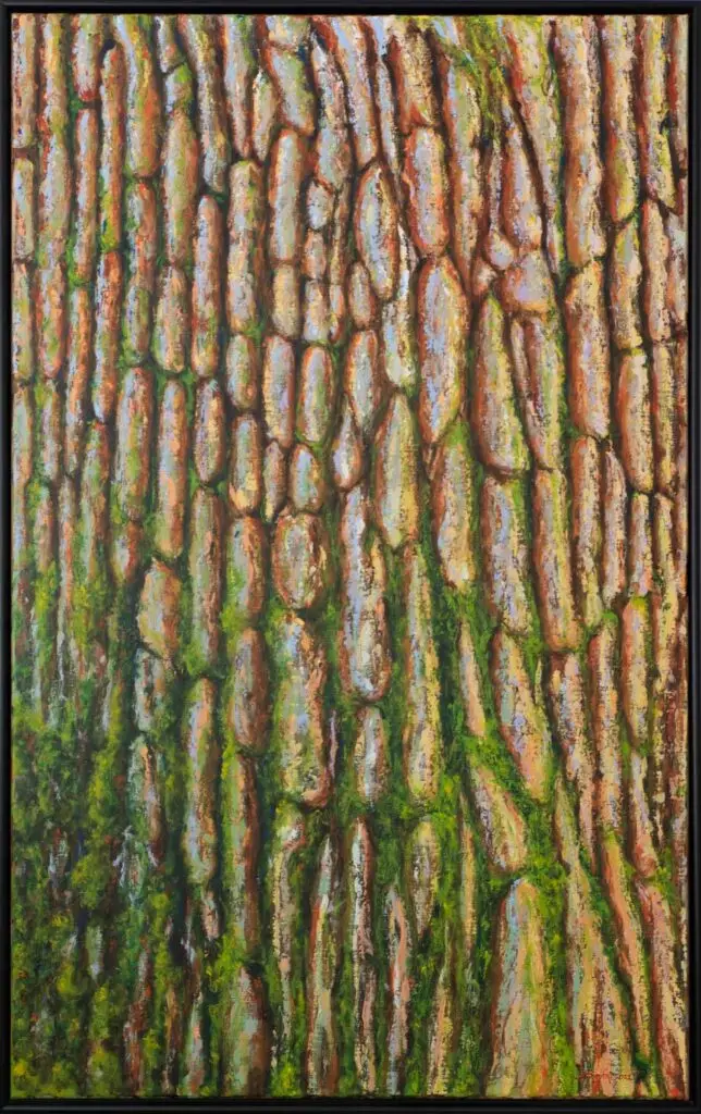 Landschap schilderij Boomschors 1. Alleen de boomschors is zichtbaar