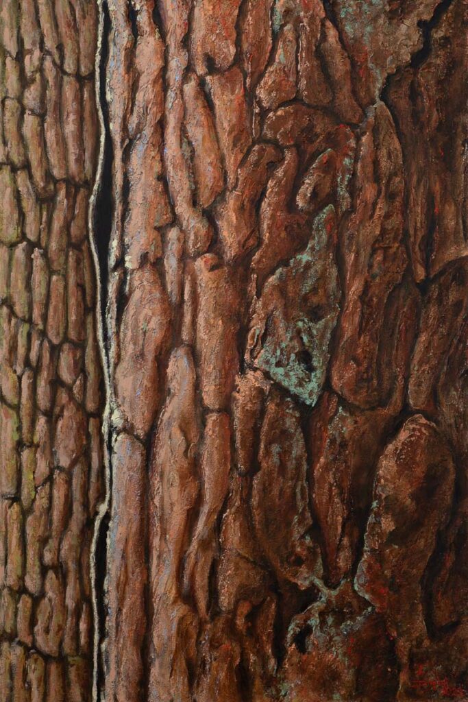 Het landschap schilderij boomschors 2 door kunstschilder Dimitri Habich. Het schilderij toont alleen een deel van de boomschors.