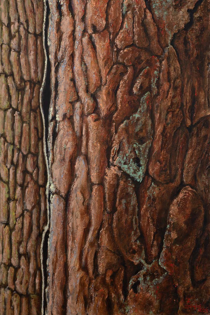 Het landschap schilderij boomschors 2 door kunstschilder Dimitri Habich. Het schilderij toont alleen een deel van de boomschors.