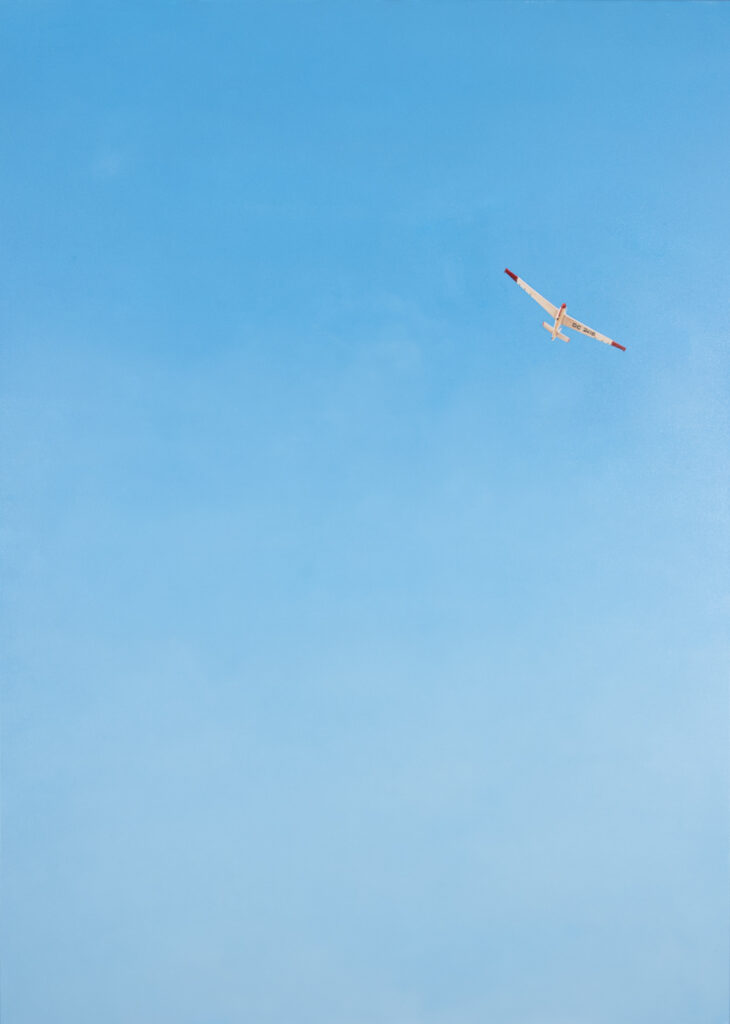 Landscape painting Soaring.